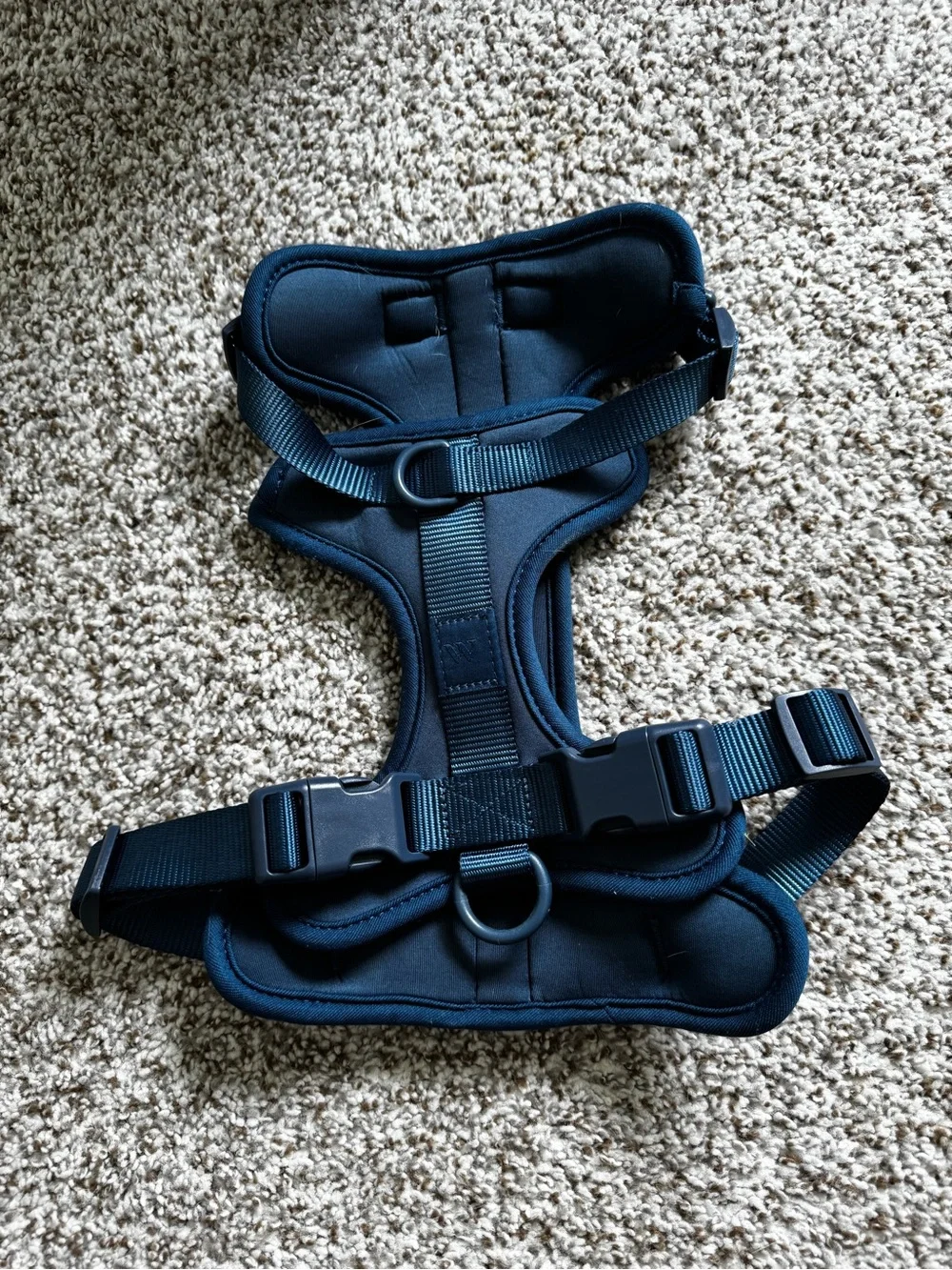 Navy Padded No-Pull Dog Harness